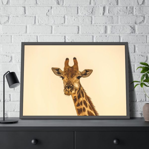 93854-623.jpg A Close up Geoffrey The Giraffe Framed Poster