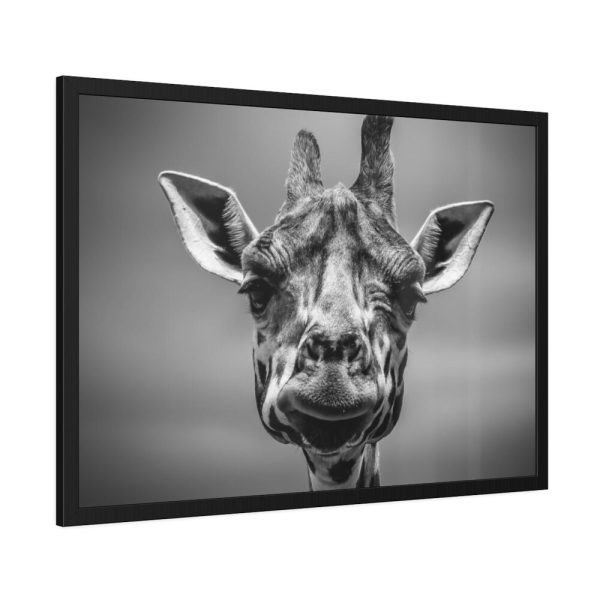 93854-625.jpg Giraffe in Monotone Framed Poster