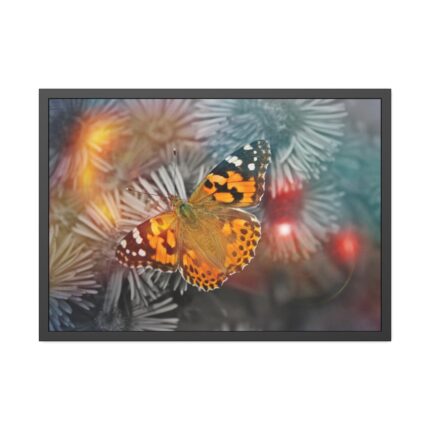Butterfly Admiral Insect Framed Poster