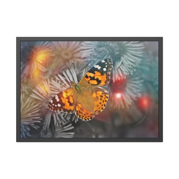 93854-640.jpg Butterfly Admiral Insect Framed Poster