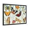 Butterfly Vintage Collage Sky Framed Poster