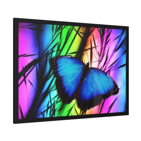 93854-677.jpg Butterfly Blue Insect Framed Poster