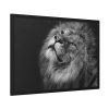 Male Lion Head Closeup Framed Poster