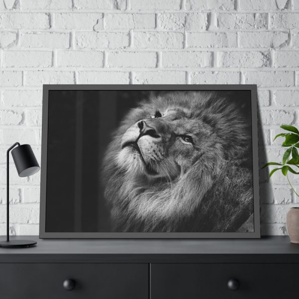 Male Lion Head Closeup Framed Poster