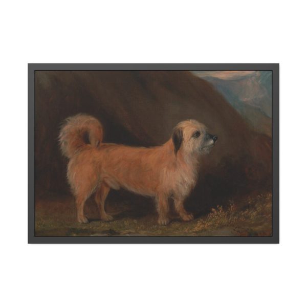93855-136.jpg A Dandie Dinmont Terrier Framed Poster
