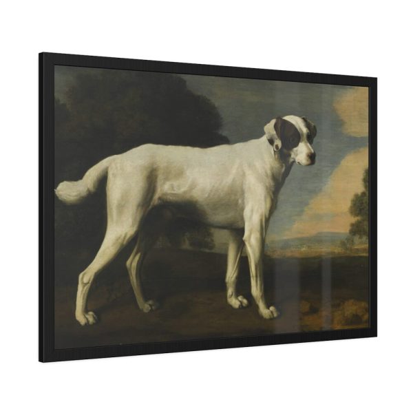 White Dog Painting By George Stubbs Framed Poster