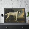 White Dog Painting By George Stubbs Framed Poster