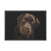 Labrador Retriever Framed Poster