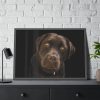 Labrador Retriever Framed Poster