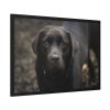Black Labrador Retriever Framed Poster