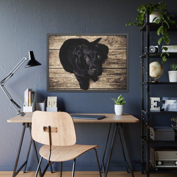 93855-314.jpg Black Labrador Dog Sitting on Wooden Floor Framed Poster