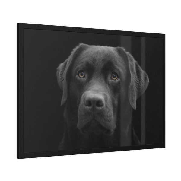 93855-317.jpg Black Dog Face Close Up Framed Poster