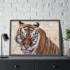 Tiger at the Wild Animal Sanctuary Framed Poster