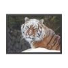 93855-424.jpg Free Siberian Tiger Framed Poster