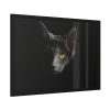 93855-437.jpg Black Bombay Cat in the Dark Framed Poster
