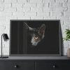 93855-439.jpg Black Bombay Cat in the Dark Framed Poster