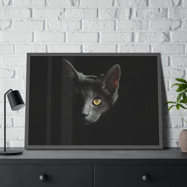93855-439.jpg Black Bombay Cat in the Dark Framed Poster