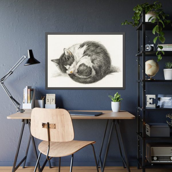 93855-446.jpg Rolled up Lying Sleeping Cat by Jean Bernard Framed Poster