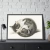 93855-447.jpg Rolled up Lying Sleeping Cat by Jean Bernard Framed Poster