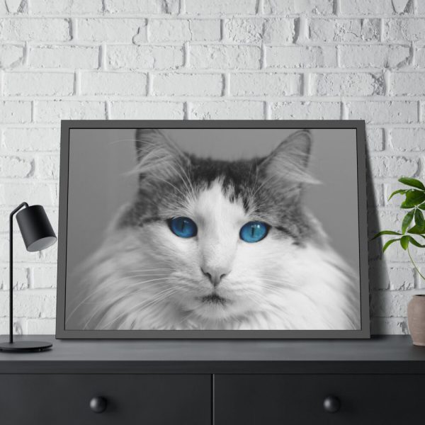 93855-451.jpg Cute Maine Coon Cat Framed Poster