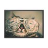 93855-460.jpg Cat Wearing Eyeglasses Framed Poster