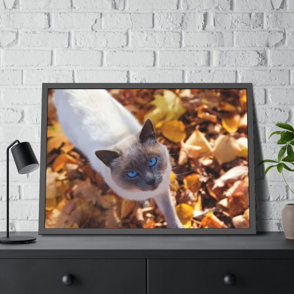 93855-467.jpg Autumn Cat Framed Poster