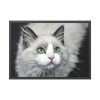 93855-468.jpg Cat with Green Blue Eyes Framed Poster