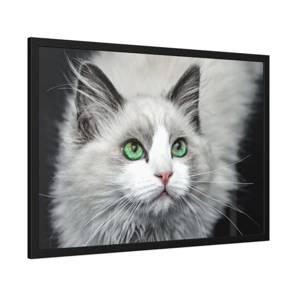 93855-469.jpg Cat with Green Blue Eyes Framed Poster