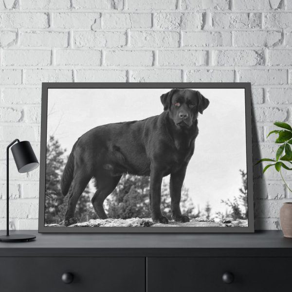 93855-479.jpg Black Labrador Dog Framed Poster