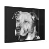93855-481.jpg Dog Boxer Labrador Mixed Framed Poster