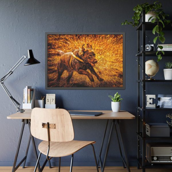 93855-486.jpg Black Labrador Runing in Field Framed Poster