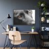 93855-494.jpg Beautiful Labradors Eyes Framed Poster