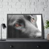 93855-495.jpg Beautiful Labradors Eyes Framed Poster