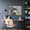 93855-498.jpg Grey Labrador with Blue Eyes Framed Poster