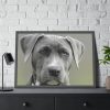 93855-499.jpg Grey Labrador with Blue Eyes Framed Poster
