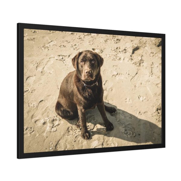 93855-501.jpg Labrador On the Sand Framed Poster