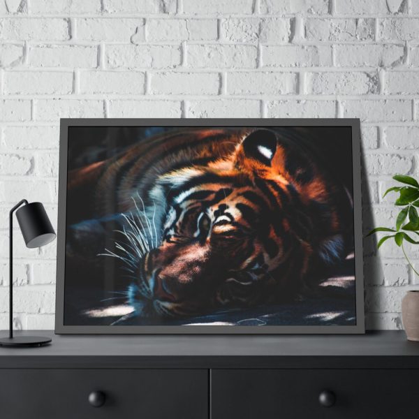 93855-515.jpg Close-up Tiger Head Resting in the Shade Framed Poster
