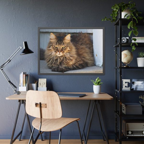 93855-522.jpg Brown Tabby Maine Coon Cat Framed Poster