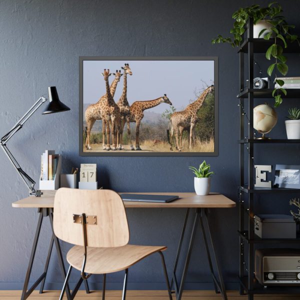 93855-530.jpg Free Giraffes in the Wild Framed Poster
