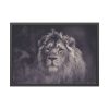 93855-532.jpg Close Up Shot of a Lion's Face in Black and White Framed Poster