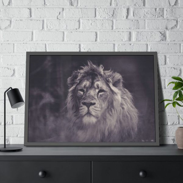 93855-535.jpg Close Up Shot of a Lion's Face in Black and White Framed Poster