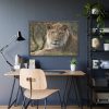Beautiful Male Lion Framed Poster