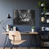 Cute European Shorthair Cat Framed Poster