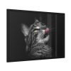 93855-561.jpg Cute Striped Cat Framed Poster