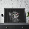93855-563.jpg Cute Striped Cat Framed Poster