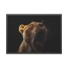 Lion Roar Framed Poster