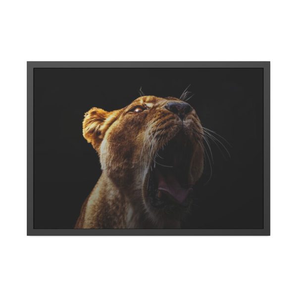 Lion Roar Framed Poster