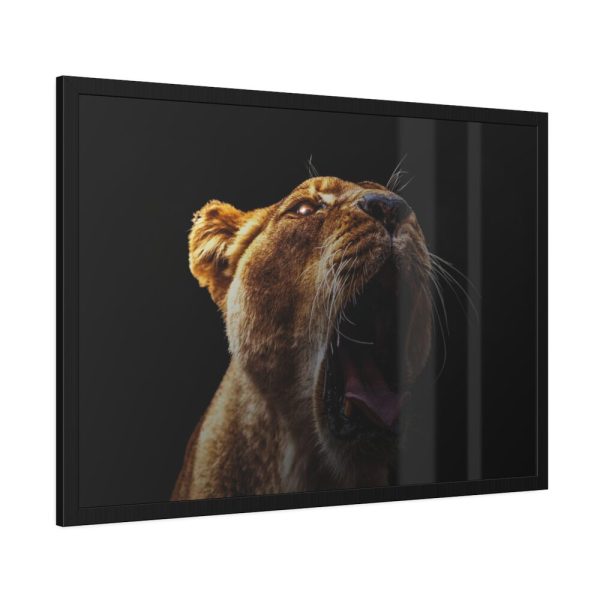 Lion Roar Framed Poster