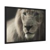 Lion King Face Framed Poster