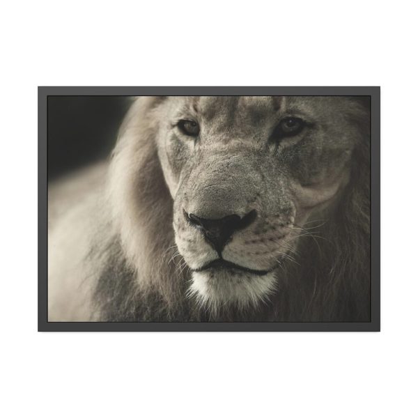 Lion King Face Framed Poster